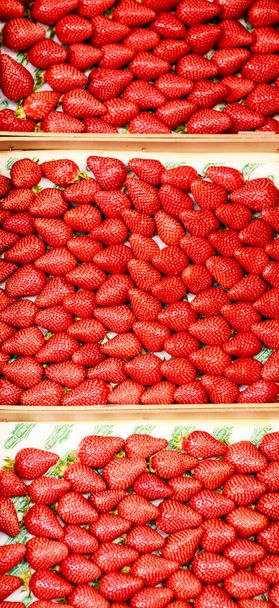 Red strawberries pattern in maket boxes - Foto, afbeelding