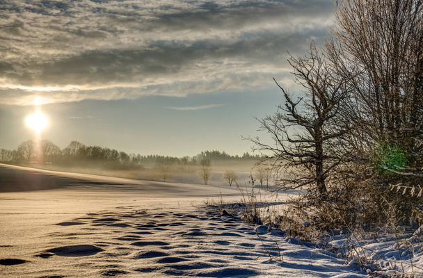 Winterland ранок
 - Фото, зображення