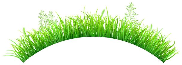 Green grass in the shape of an arc - Vector, Image