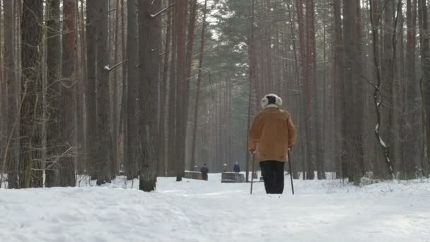 Caminhada nórdica - esporte de inverno para todas as idades. Pessoas ativas diferentes idades caminhadas na floresta nevada
. - Filmagem, Vídeo