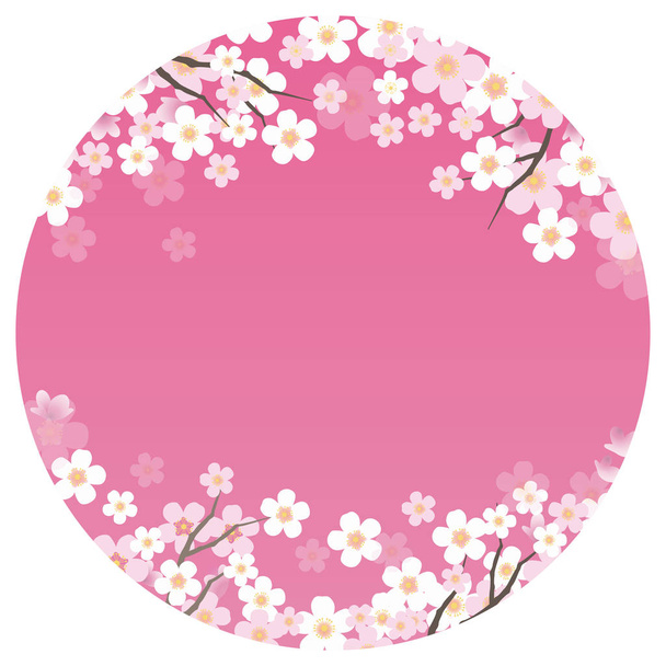Circular vector background illustration with cherry blossoms in full bloom. (without sample text) - Vettoriali, immagini