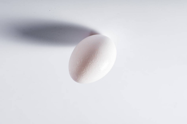 White egg with shadow isolated on white background - 写真・画像