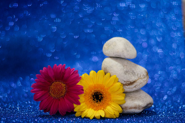 Two gerbera daisy and stones  - Photo, Image