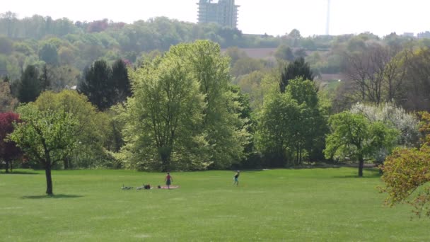 Green Park in Sunny Day - Кадри, відео