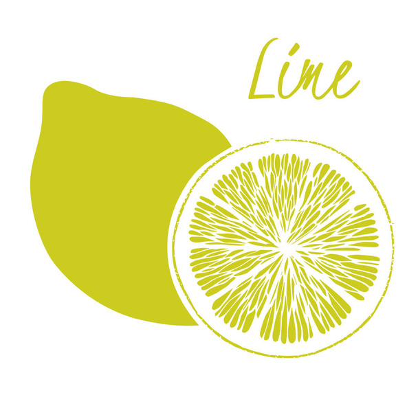 citron vert - Vecteur, image