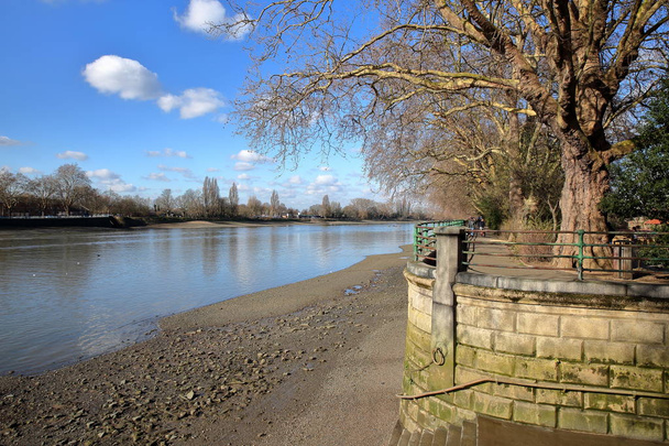 Kışın, Fulham, Hammersmith ve Fulham, Londra, İngiltere borough Thames Nehri boyunca piskoposlar Park - Fotoğraf, Görsel