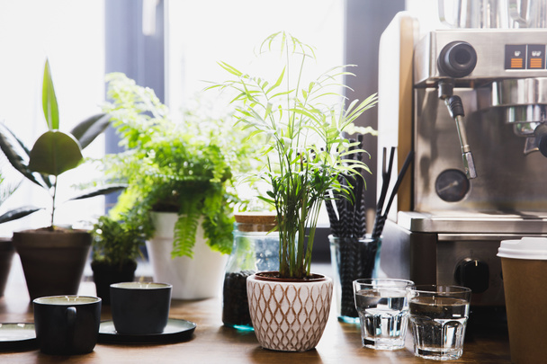 Máquina de café expresso em café interior com xícaras e plantas verdes
 - Foto, Imagem