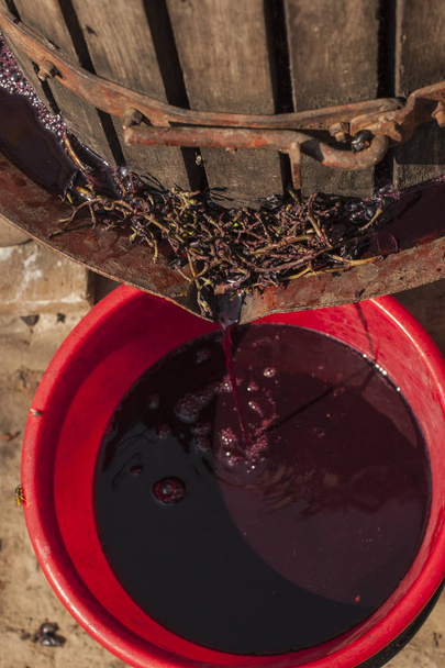 Wine-making. Technology of wine production. The folk tradition of making wine. Wine production in Moldova. The ancient tradition of grape processing. The squeezer is used to press the wine. - Photo, Image