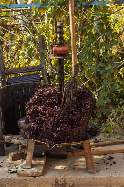 A fazer vinho. Tecnologia de produção de vinho. A tradição popular de fazer vinho. Produção de vinho na Moldávia. A antiga tradição de processamento de uvas. O espremedor é usado para pressionar o vinho
. - Foto, Imagem