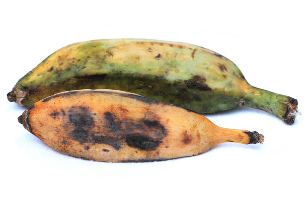 banana for cooking isolated - Photo, Image