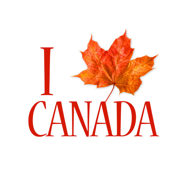 Canada logo esdoornblad liefde Canada - Foto, afbeelding