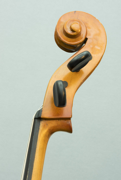closeup of part string instrument cello with snares and scroll - Photo, Image
