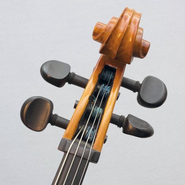 closeup of part string instrument cello with snares and scroll - Zdjęcie, obraz