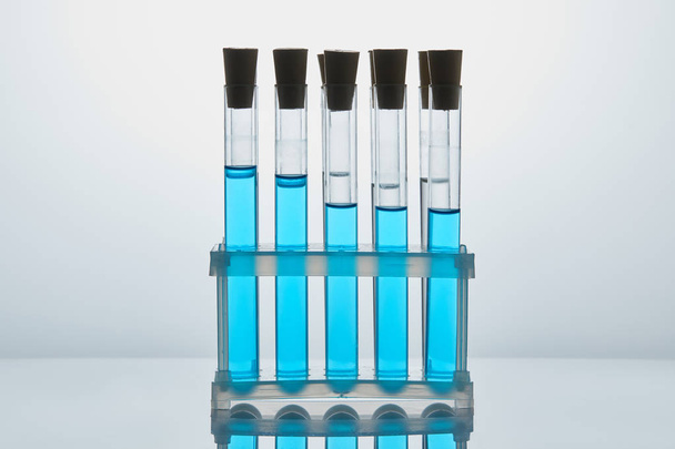 rij van chemie buizen gevuld met blauwe vloeistof op stand - Foto, afbeelding