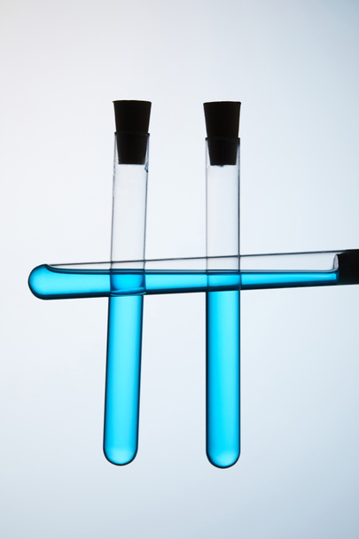 test tubes filled with blue liquid on grey - Foto, Imagen