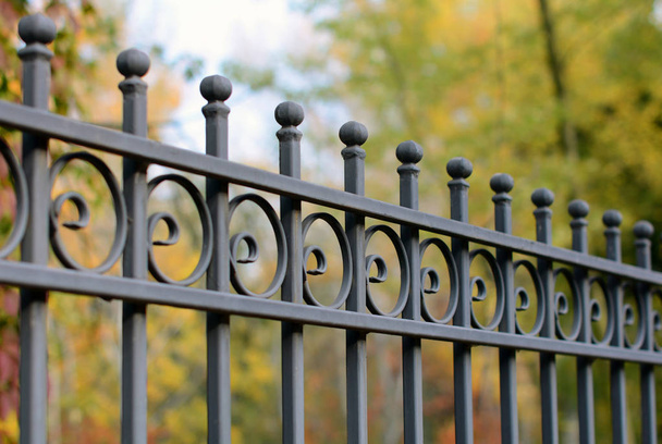 Image of a Beautiful decorative cast iron wrought fence with artistic forging. Metal guardrail close up. - Photo, Image