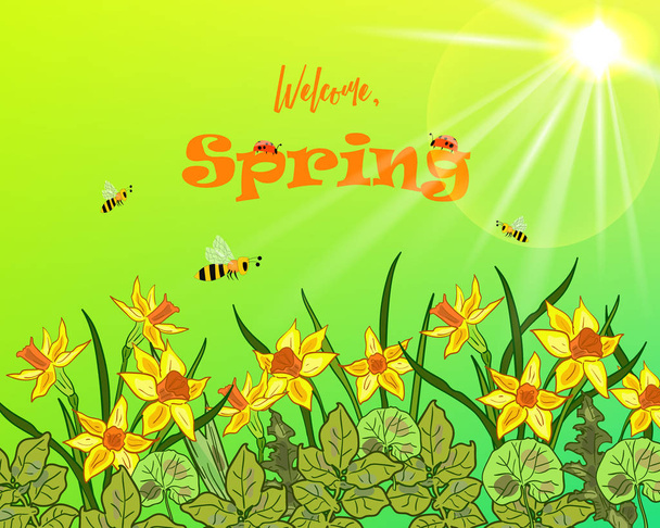 Ручной рисунок горизонтального векторного фона пружины с нарциссами, солнцем, солнечными лучами, жуками и пчелами
 . - Вектор,изображение