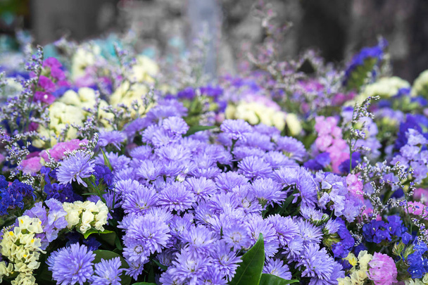 Magenta asters kukkakimppu
 - Valokuva, kuva