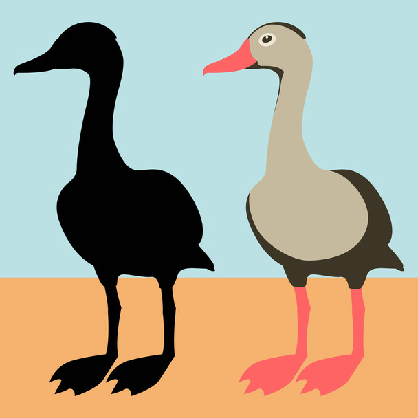 black bellied whistling duck vector illustration flat style   silhouette - Vector, Image