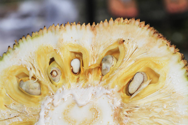 detail of fresh jackfruit - Zdjęcie, obraz