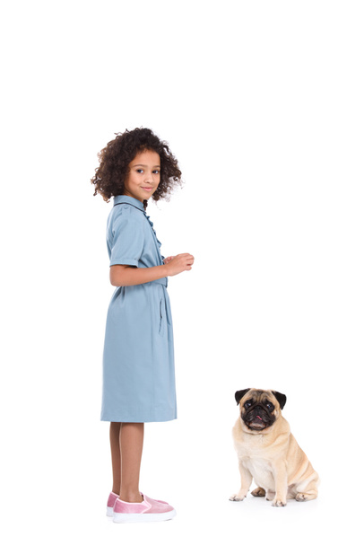 adorable little child in dress with pug isolated on white - Photo, Image
