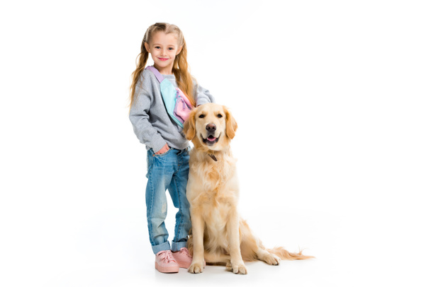 Little child standing with golden retriever isolated on white - Photo, image