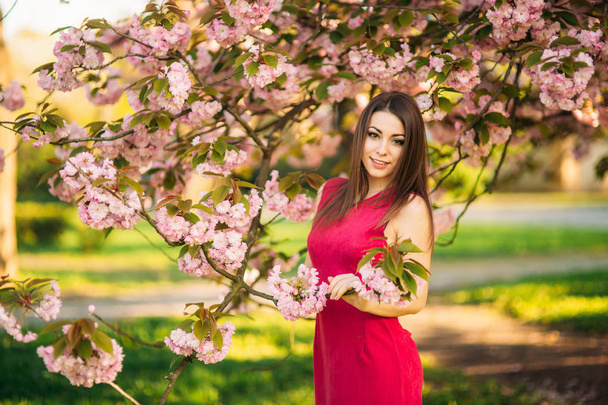 若い女の子の写真のポーズします。背景にピンク色の花木。春。さくら - 写真・画像