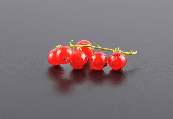 Red currant on black - Photo, Image