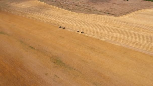 Aerial shot of a combine with a trailer for straw and trucks on a golden field.                                       An amazing view of a moving combine harvester. It collects wheat straw on a sunny day in summer. It has a trailer. Trucks are nearby - Πλάνα, βίντεο