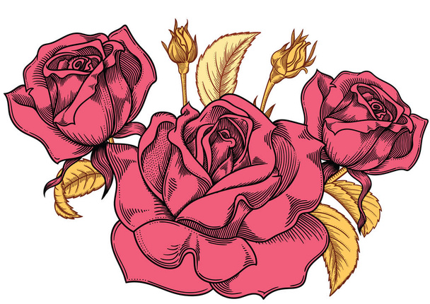 Roze rozen bloemen bloeien, gedetailleerde hand getekend vectorillustratie. Romantische vintage decoratieve bloem tekening. Alle lijnwerk steeg objecten geïsoleerd op witte achtergrond. - Vector, afbeelding