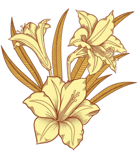 Blooming lily flowers , detailed hand drawn vector illustration. Romantic decorative flower drawing .Lilies in line art sketchy style.All authentic unique flourish objects isolated on white background - Vektör, Görsel
