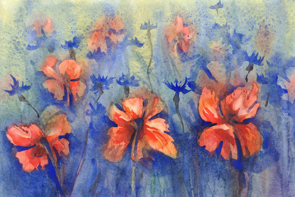 poppies and cornflowers watercolor background - Фото, изображение