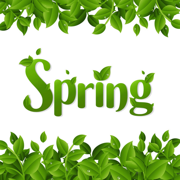 Lettering Spring with green leaves on white background - Vektör, Görsel