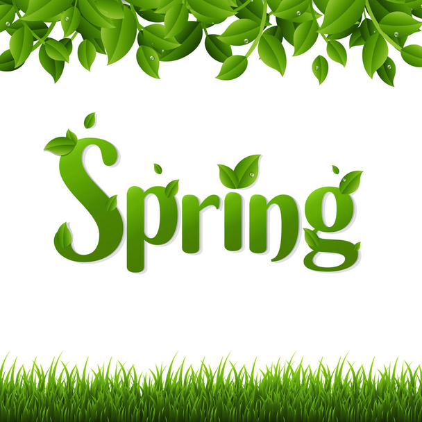 Lettering Spring with green leaves and grass on white background - Vektör, Görsel