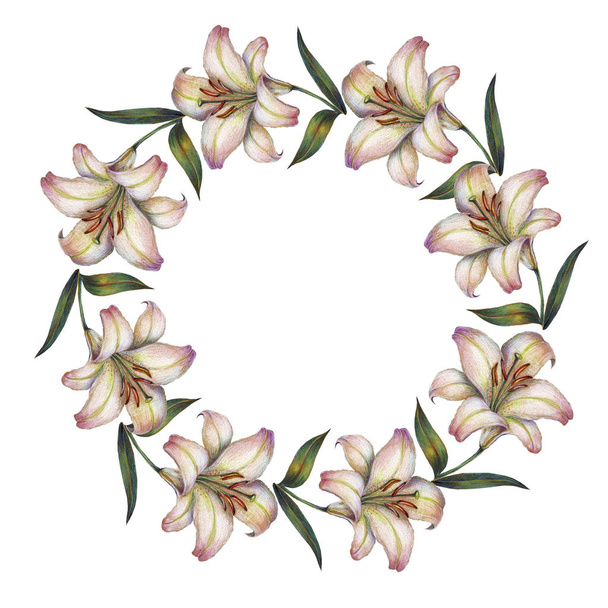 Watercolor Lily. Illustration of a flowering wreath. - Φωτογραφία, εικόνα