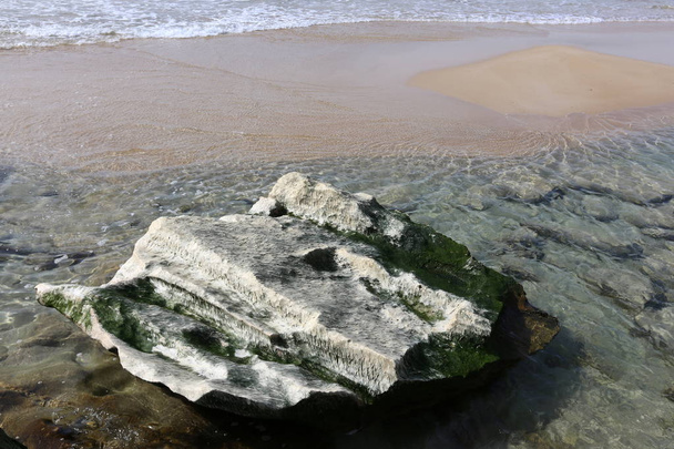 地中海のほとりに大きな石の嘘  - 写真・画像