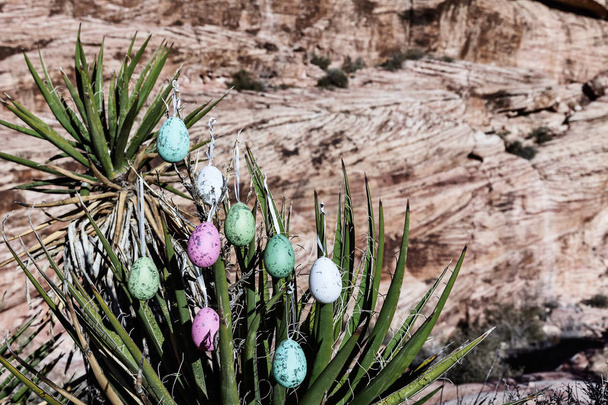 Великодні яйця висять на пустельному дереві
 - Фото, зображення