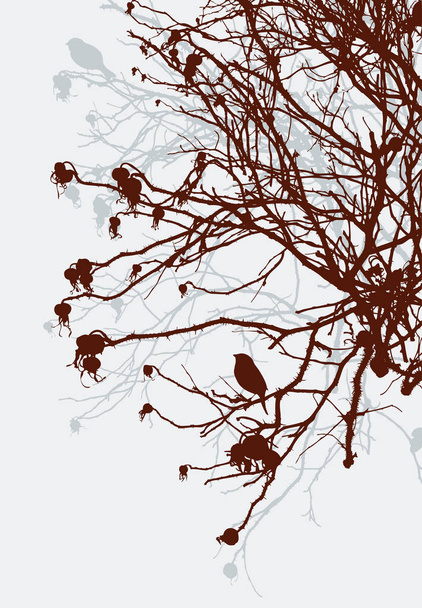 Силуэт кустов диких роз зимой
 - Вектор,изображение