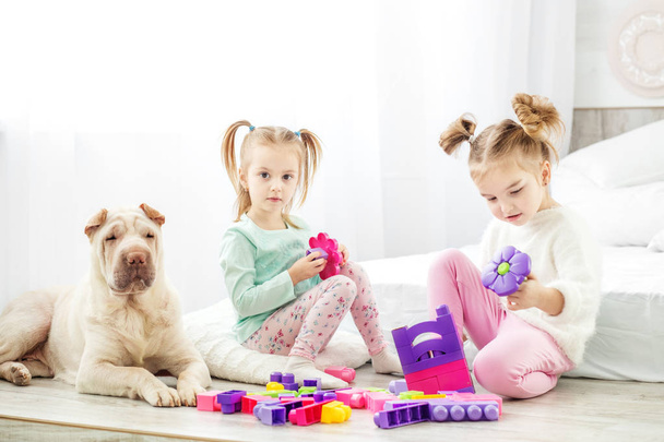 İki çocuk oyuncak odasında oyun. Köpek oturuyor. Konsantrasyon - Fotoğraf, Görsel