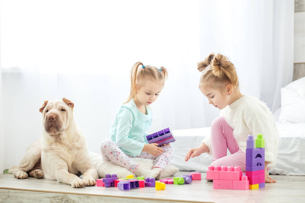 Due bambini giocano blocchi di giocattoli di plastica. Cane e ragazze. Il concep
 - Foto, immagini