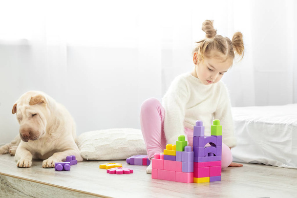 小さな子供は、プラスチック製のおもちゃを部屋のブロックで遊んでいます。、 - 写真・画像