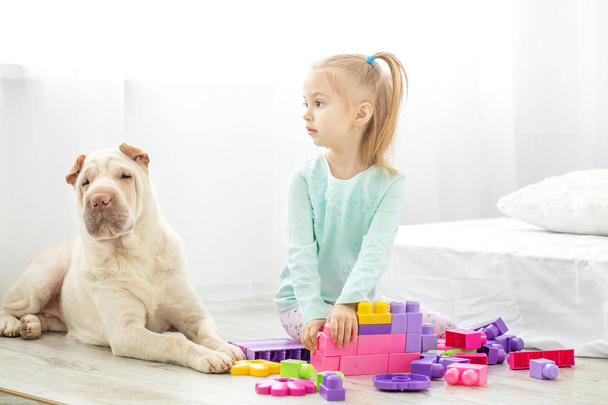 Przedszkola dziewczyna bawi się zabawkami w pokoju z psem. Koncer - Zdjęcie, obraz