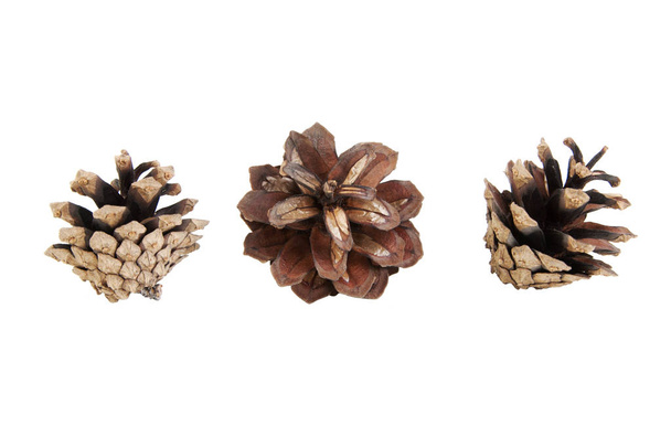 Tres conos de pino aislados en blanco
  - Foto, imagen