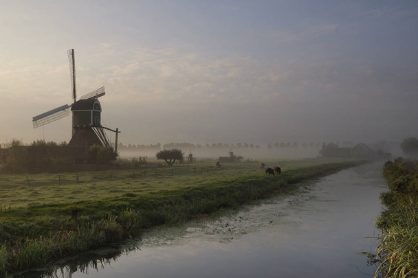 Wingerdse mill in misty morning atmosphere - Photo, Image