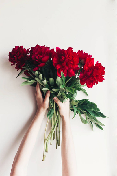 női kezei gyönyörű piros pünkösdi rózsa csokor fehér háttér. modern boho virágos kép.  - Fotó, kép