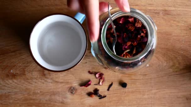 Tea made from dried fruits in a spoon. Brew delicious tea. - Séquence, vidéo