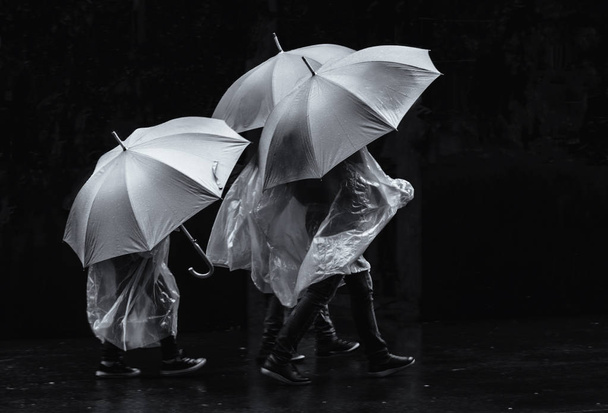 People under umbrellas - Photo, Image