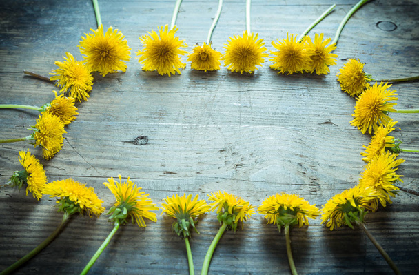 Arrangement of yellow dandelions in frame shape on dark backgrou - Zdjęcie, obraz