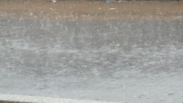 Σταγόνες από δυνατή βροχή πέφτουν στην άσφαλτο. Τροπικών βροχοπτώσεων - Πλάνα, βίντεο