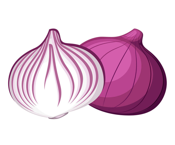 Fresh red onion and piece of onion vegetable from the garden organic food vector illustration isolated on white background web site page and mobile app design - Vector, Image